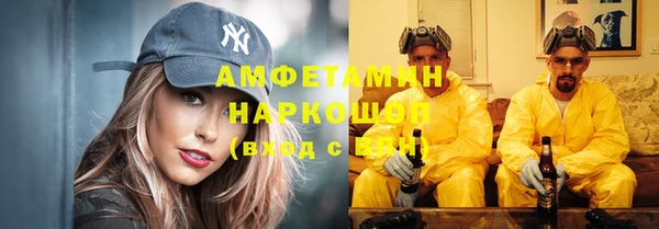 ПСИЛОЦИБИНОВЫЕ ГРИБЫ Алзамай
