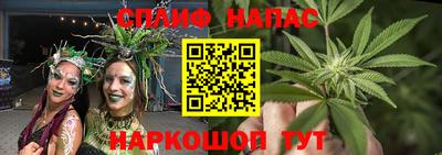 сатива Комсомольск-на-Амуре