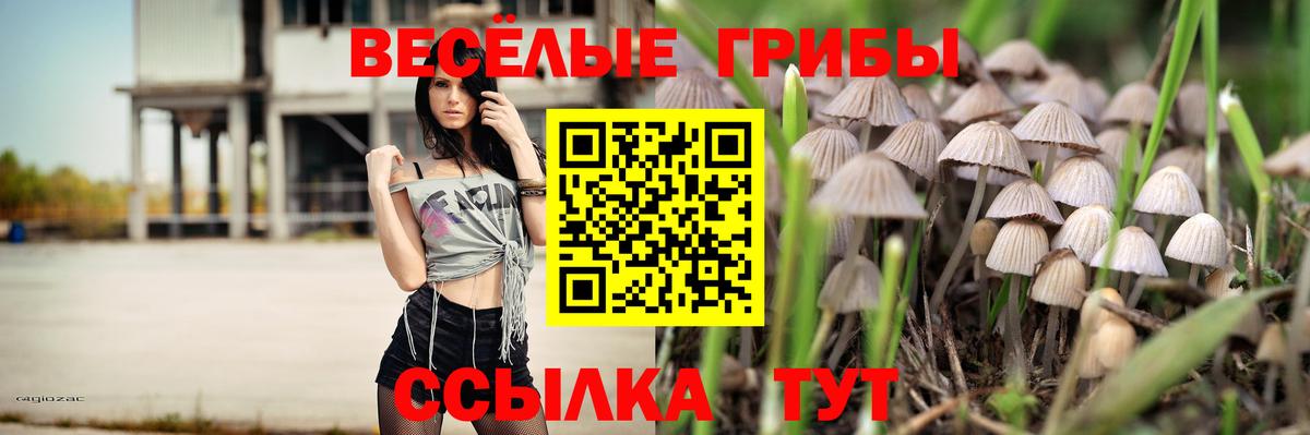 Галлюциногенные грибы Cubensis  Галлюциногенные грибы Psilocybine cubensis  Кимры  Вход с VPN 
